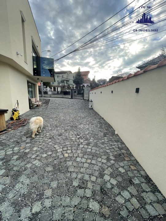 Vila in Andrei Muresanu mobilata si utilata
