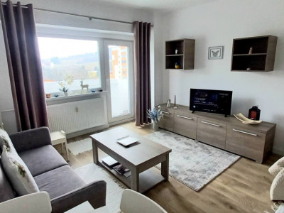 Apartament 1 cameră | 42 mp | Zona Platinia Mall – USAMV | Renovat 2025